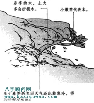 木命人生于春季