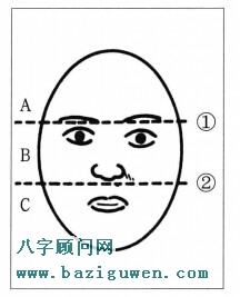 图解七种脸型是如何分类的?