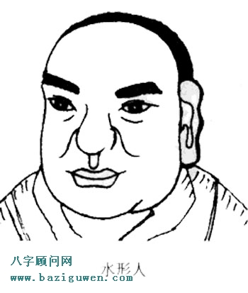 水形人的特点
