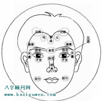 面相图解十二宫