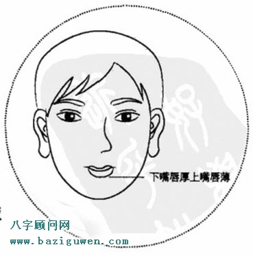 下嘴唇厚上嘴唇薄 