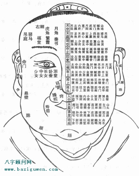 图解麻衣神相面部十三部位总图歌