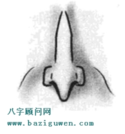 面相图解犹太鼻