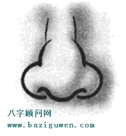 面相算命图解蒜头鼻