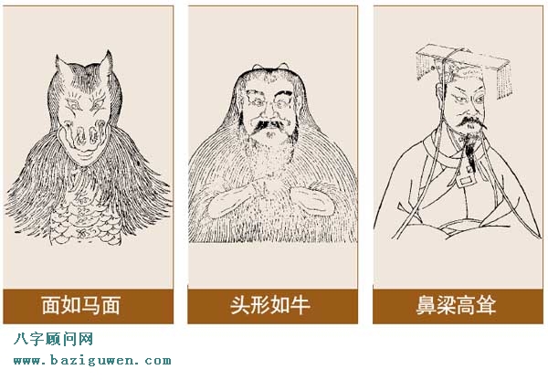 富贵之人的面相