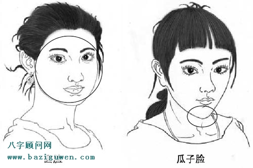 圆形脸，瓜子脸