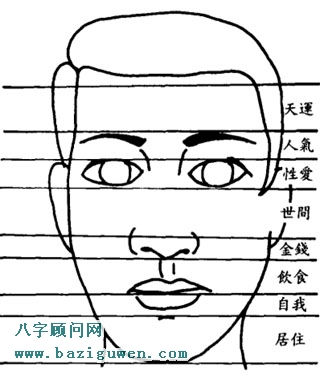面相图解把面孔分成带状看命运