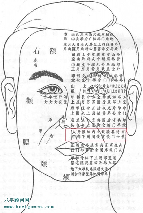 面相图解人中