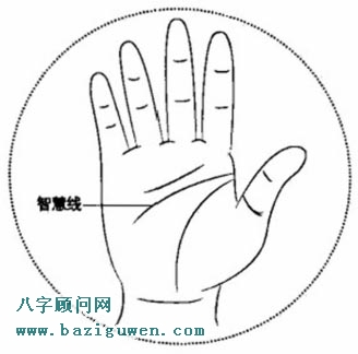 智慧线图解，什么是智慧线？