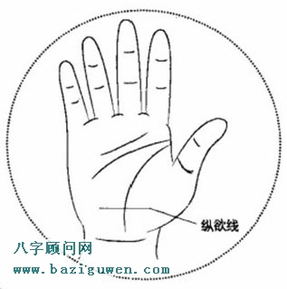 掌纹纵欲线