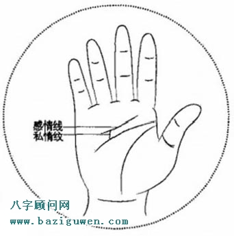 能纵横职场的女人掌纹 