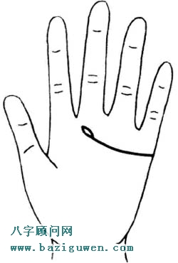 感情线末端有岛纹