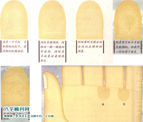 指纹算命，如何从指纹看人的性格？