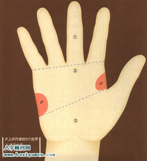 图解手相学上的三个世界
