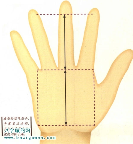 手相图解空气型手