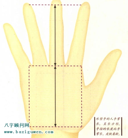 手相图解水型手