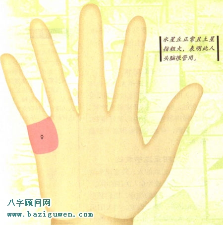 手相图解水星丘