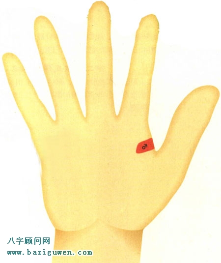 手相图解第一火星丘