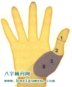 手相图解金星丘