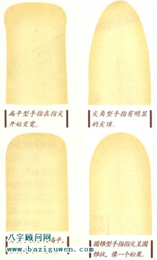 手相图解手指形状与人的性格