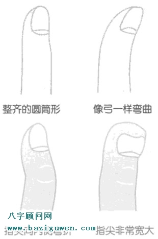 从拇指指尖的形状来判断社交性