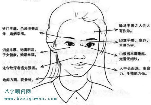 看面相时一定要了解的几大关键部位