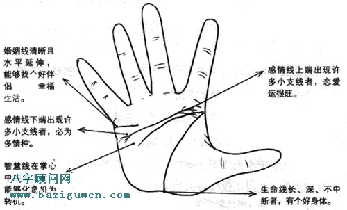 看手相时一定要了解的手相掌纹