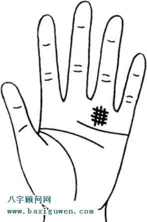 太阳线上有交叉的格子纹