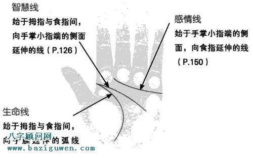 生命线，智慧线及感情线的位置及意义