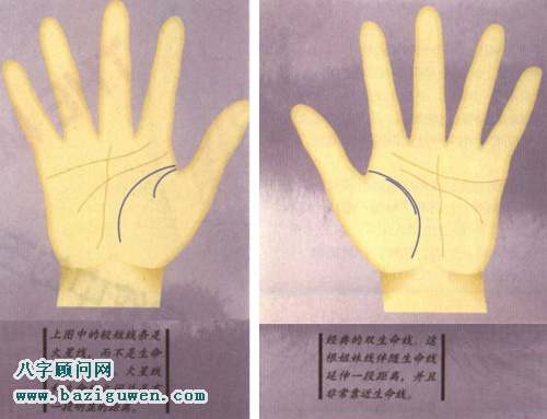 手掌纹上的双线有哪些含义?