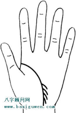 生命线有支线的情况1