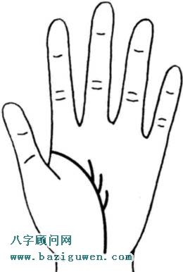 生命线有支线的情况2