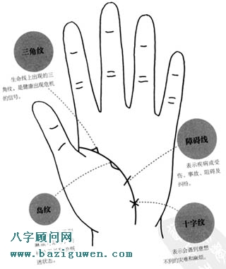 生命线有岛纹、三角纹、十字纹、障碍线
