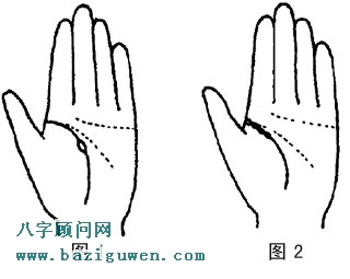 生命线图解健康1.2