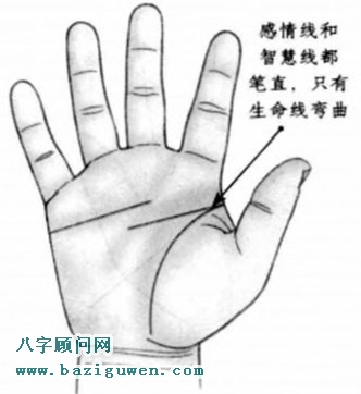 生命线弯曲状感情线和智慧线都笔直延伸的手相
