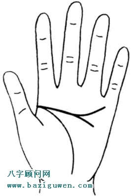 图解智慧线分叉1