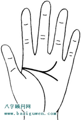 图解智慧线分叉2