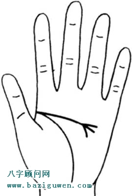 图解智慧线分叉4