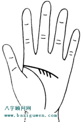 智慧线支线向下