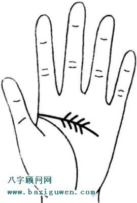 智慧线支线同时向上向下