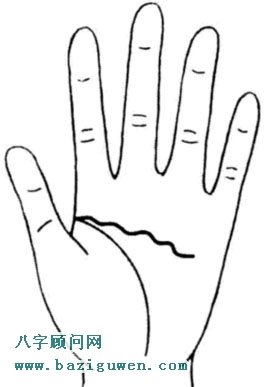 智慧线图解智慧线呈波浪形