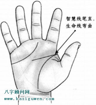 智慧线笔直，生命线弯曲