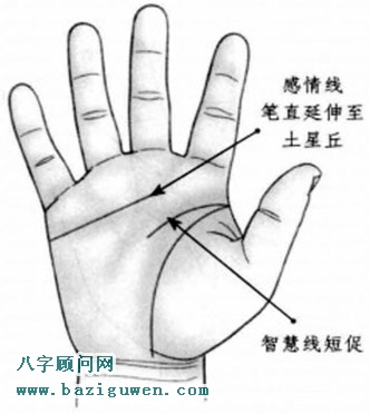 智慧线短感情线笔直延伸到土星丘