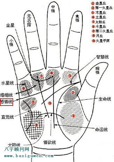 手相感情线