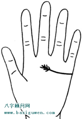 感情线支线在未端向上向下