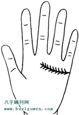 感情线支线向上向下都有