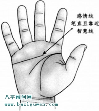 感情线平直且靠近智慧线