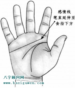 感情线笔直延伸到食指下方 