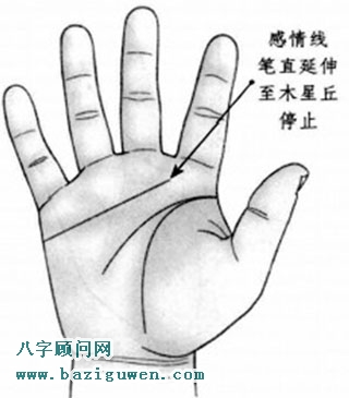 感情线笔直延伸到木星丘