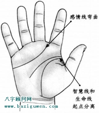 感情线弯曲，智慧线和生命线起点相互分离